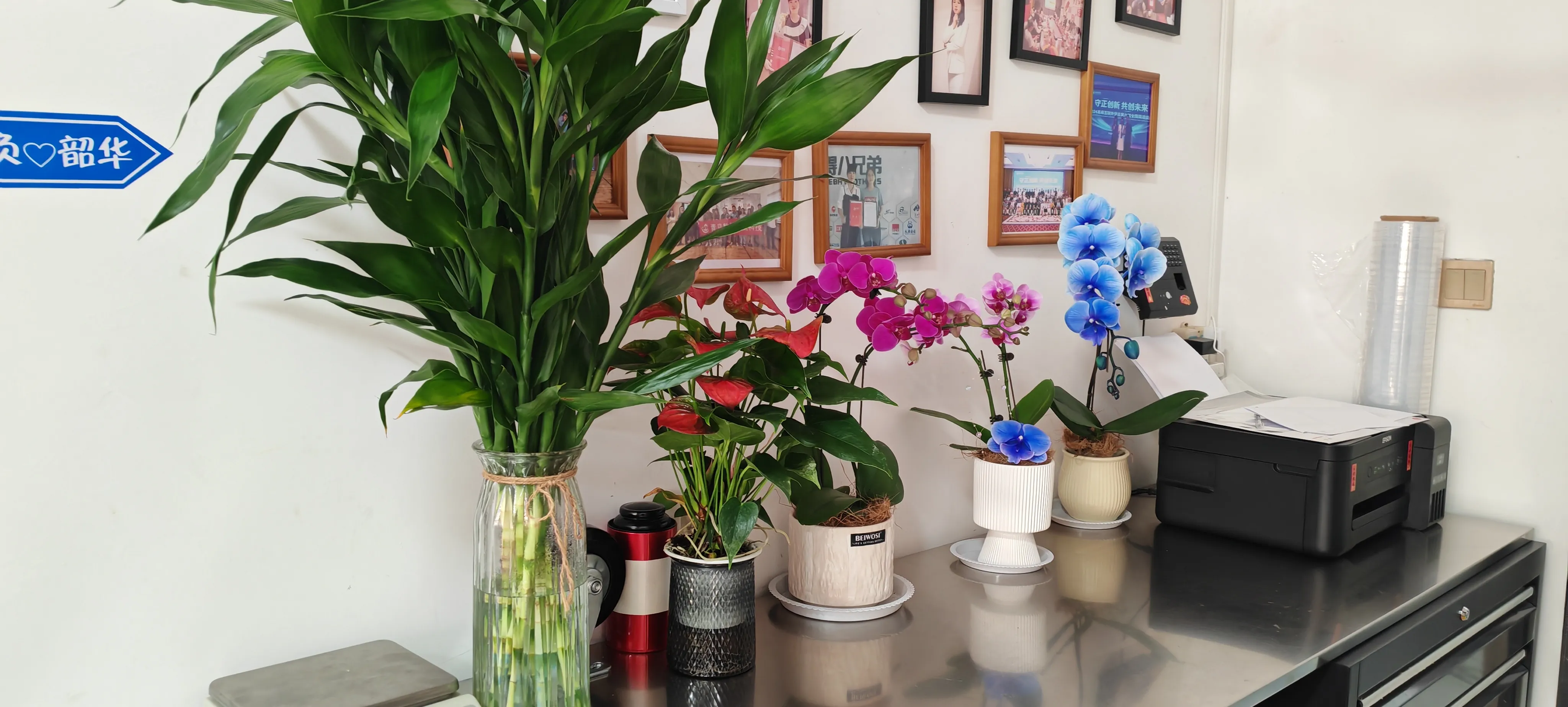 Добредојдовте на новите пријатели на JOJO Pack!